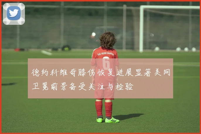 德约科维奇膝伤恢复进展显著美网卫冕前景备受关注与检验