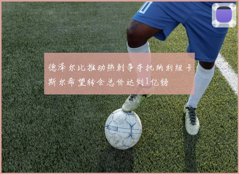 德泽尔比推动热刺争夺托纳利纽卡斯尔希望转会总价达到1亿镑