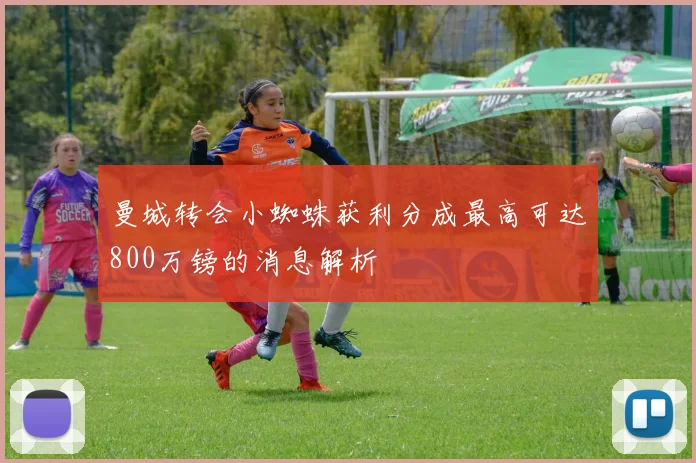 曼城转会小蜘蛛获利分成最高可达800万镑的消息解析